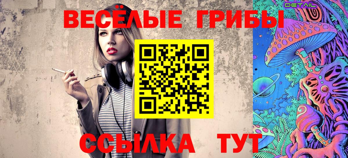 Псилоцибиновые грибы Cubensis Обнинск