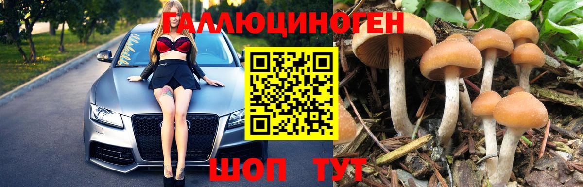 Псилоцибиновые грибы MAGIC MUSHROOMS  Псилоцибиновые грибы GOLDEN TEACHER  Обнинск  Вход с VPN 